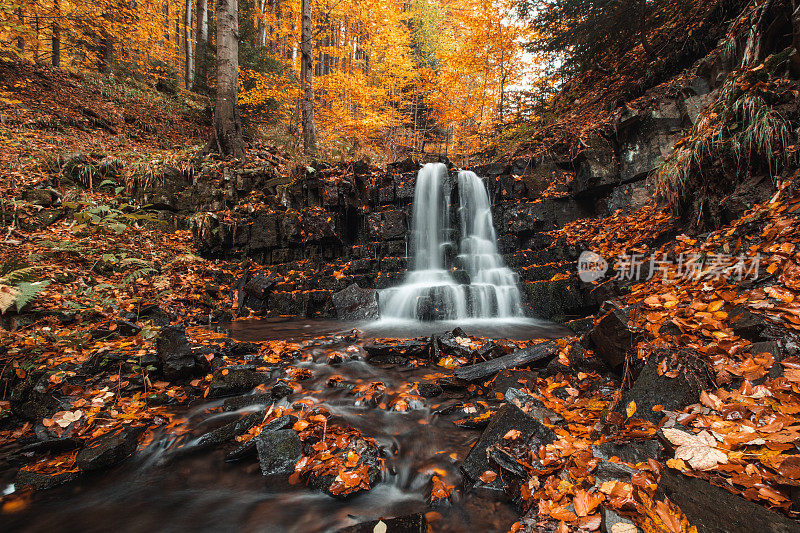 Wonderful cascading waterfall Bystry covered and surrounded by autumn leaves and trees glowing orange-red at the village ÄeladnÃ¡ in the heart of Beskydy mountains, Czech republic